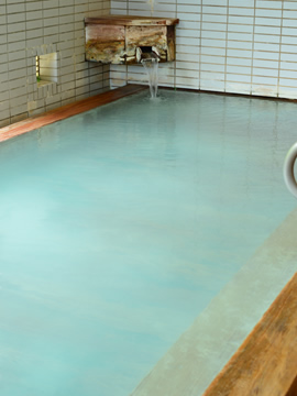 Indoor bath Takinoyu, Ryokan Tamagoyu, Takayu Onsen
