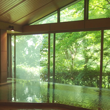 Oigami Onsen Yumotohanatei Takinoyu indoor bath