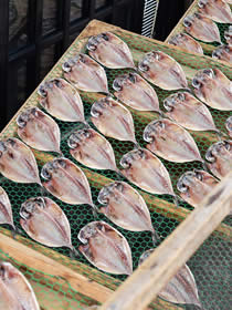 Dry fishes in Ito