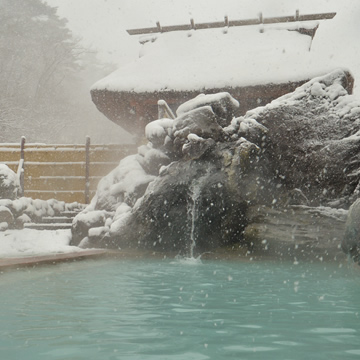 Open-air bath Tenshonoyu, Ryokan Tamagoyu, Takayu Onsen