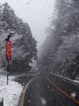 高湯温泉への道