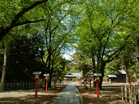 鷲宮神社参道