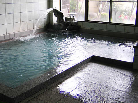 Hayabusa-onsen indoor bath