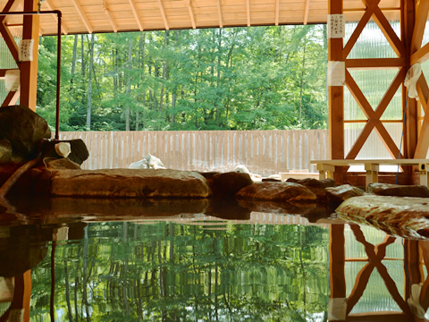 Tateshina Onsen Ishiyasunoyu open-air bath