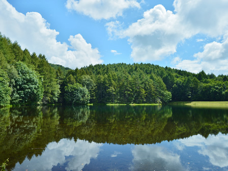 Mishaka Pond