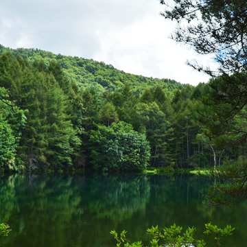 Mishaka Pond