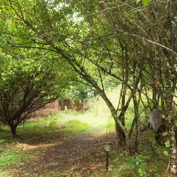 Togariishinoyu little path to the open-air bath