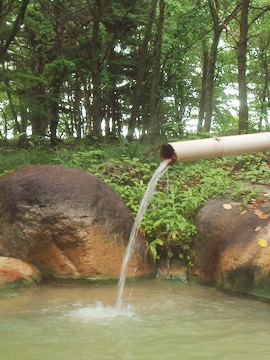 尖石の湯湯口