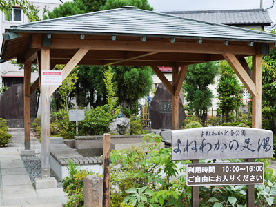 Footbath Yonewakanoashiyu