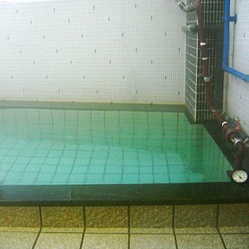 Ogawa Hoteinoyu bathtub, Ito Onsen